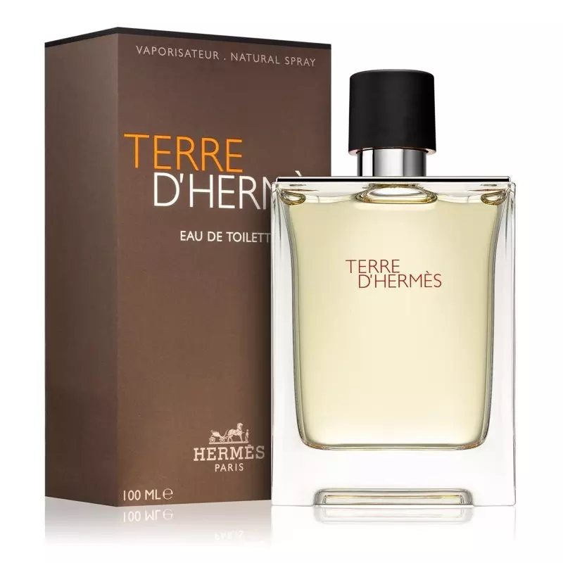 scentube Hermes-Terre-D'Hermes-Eau-De-Toilette-100ml-For-Men