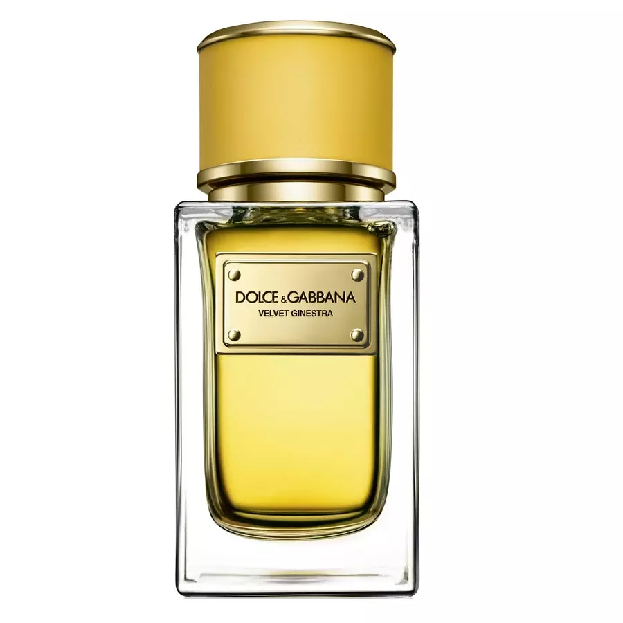 scentube Dolce-And-Gabbana-Velvet-Ginestra-Eau-De-Parfum-50ml-For-Women
